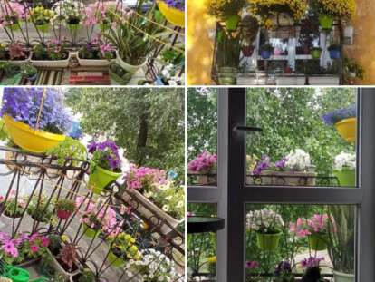 298985092_10158984411332685_5628261277115967783_n