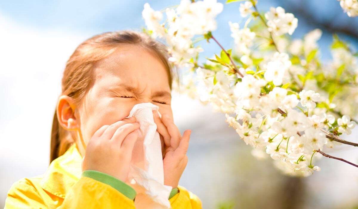алергия