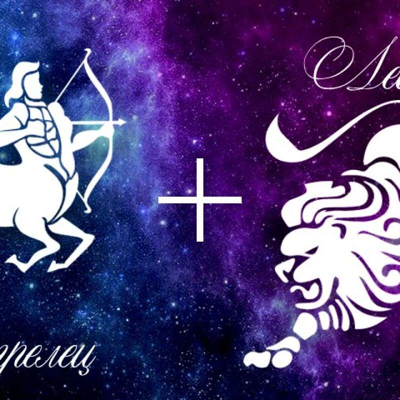 Женщина стрелец и тигр совместимость. Стрелец описание знака. Лев и стрелец фото. Женщина стрелец и тигр совместимость. Женщина стрелец и тигр совместимость.