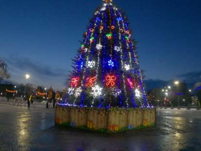 павлоград елка