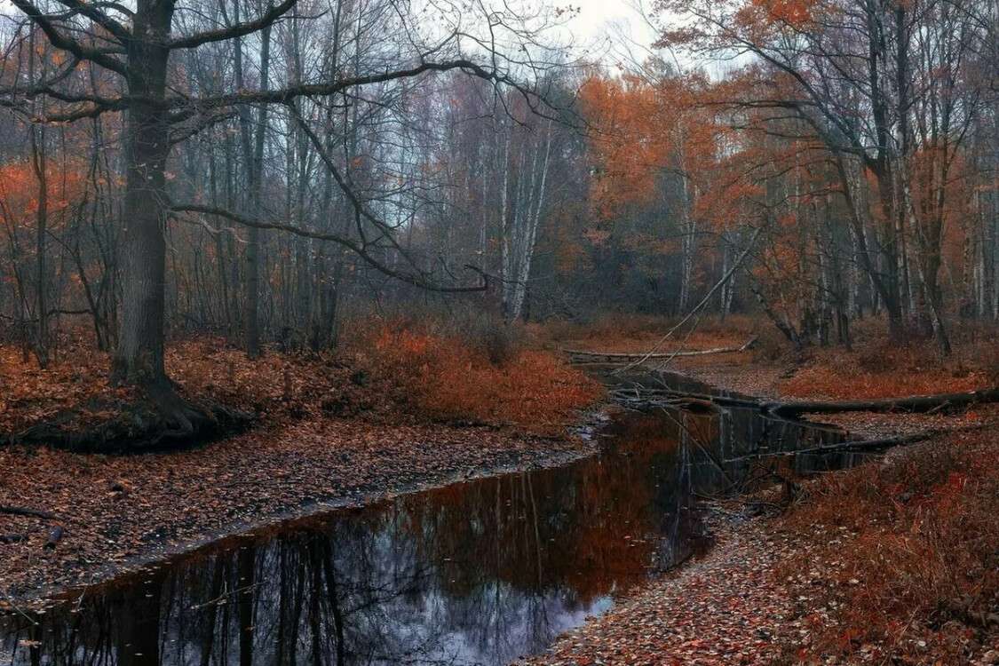 ноябрь