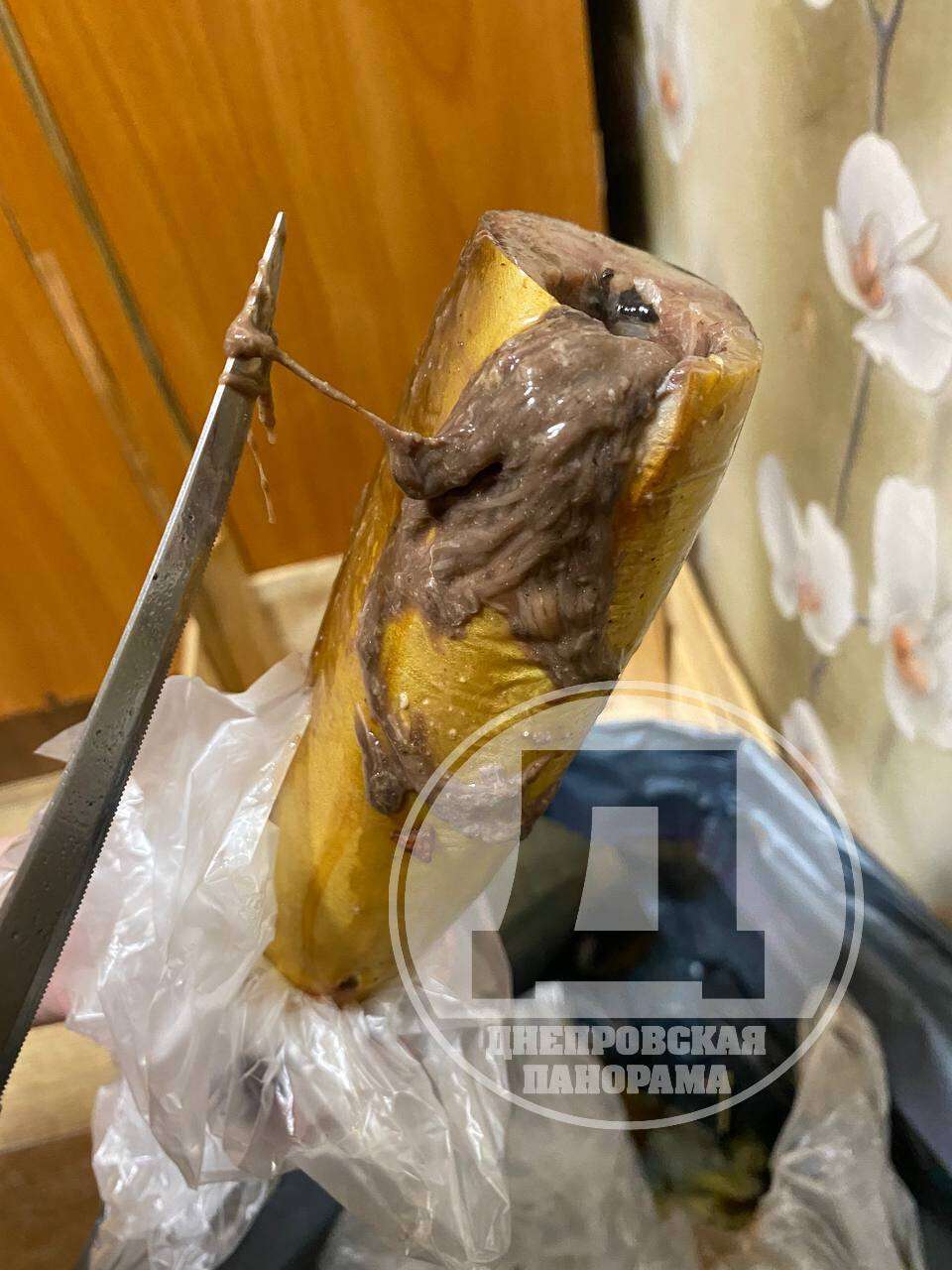 рыба с червями