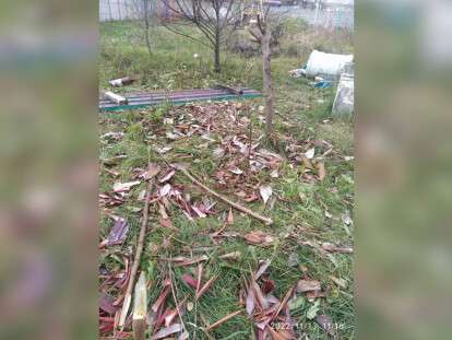 детская площадка