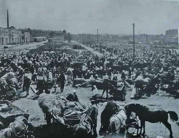 Лето 1943 года. Рынок "Озерка". Фото из книги Нацистский новый порядок в городах Украины.