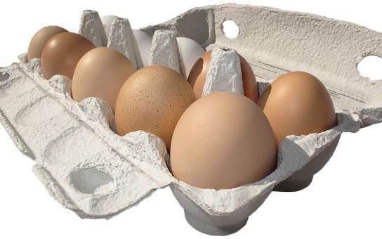 яйца (1)