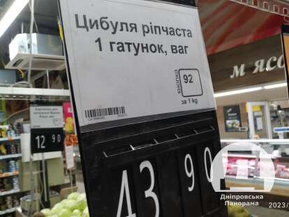 циб1