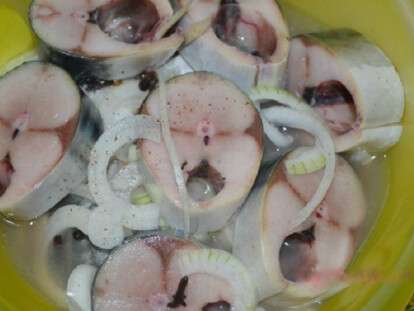 скумбрия