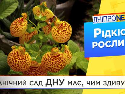 ботсад
