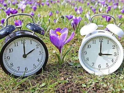 часы крокусы