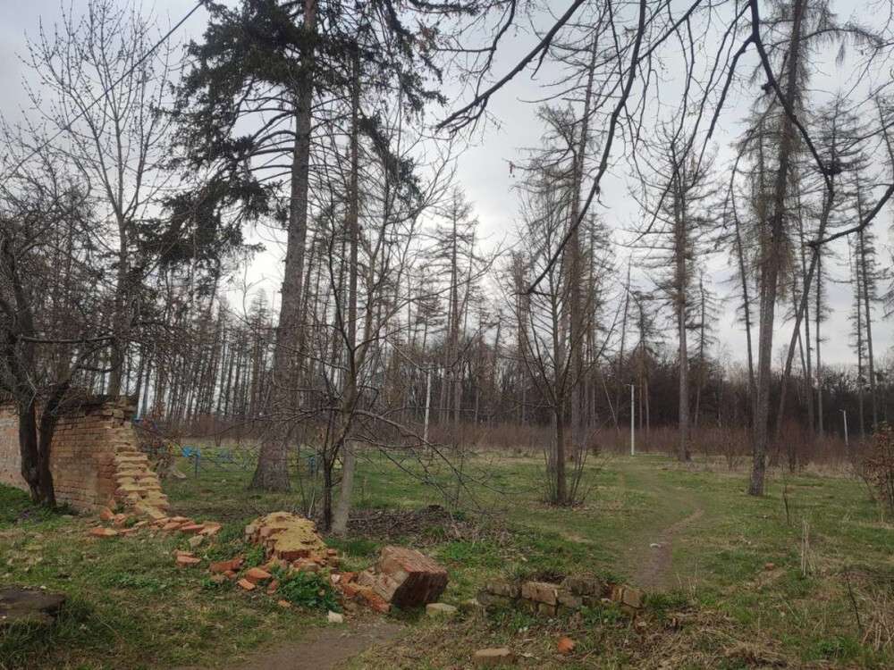 Винница парк