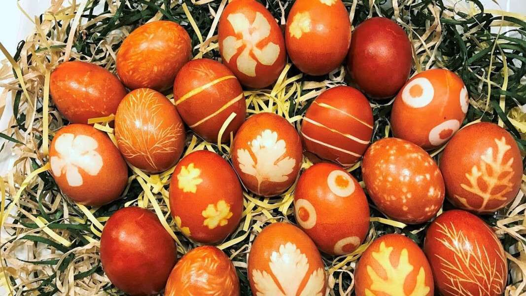 Как покрасить яйца в луковой шелухе без химии: очень простые советы