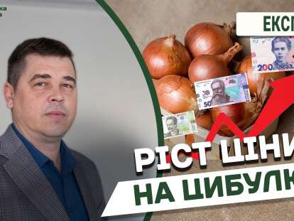 Ріст ціни на цибулю