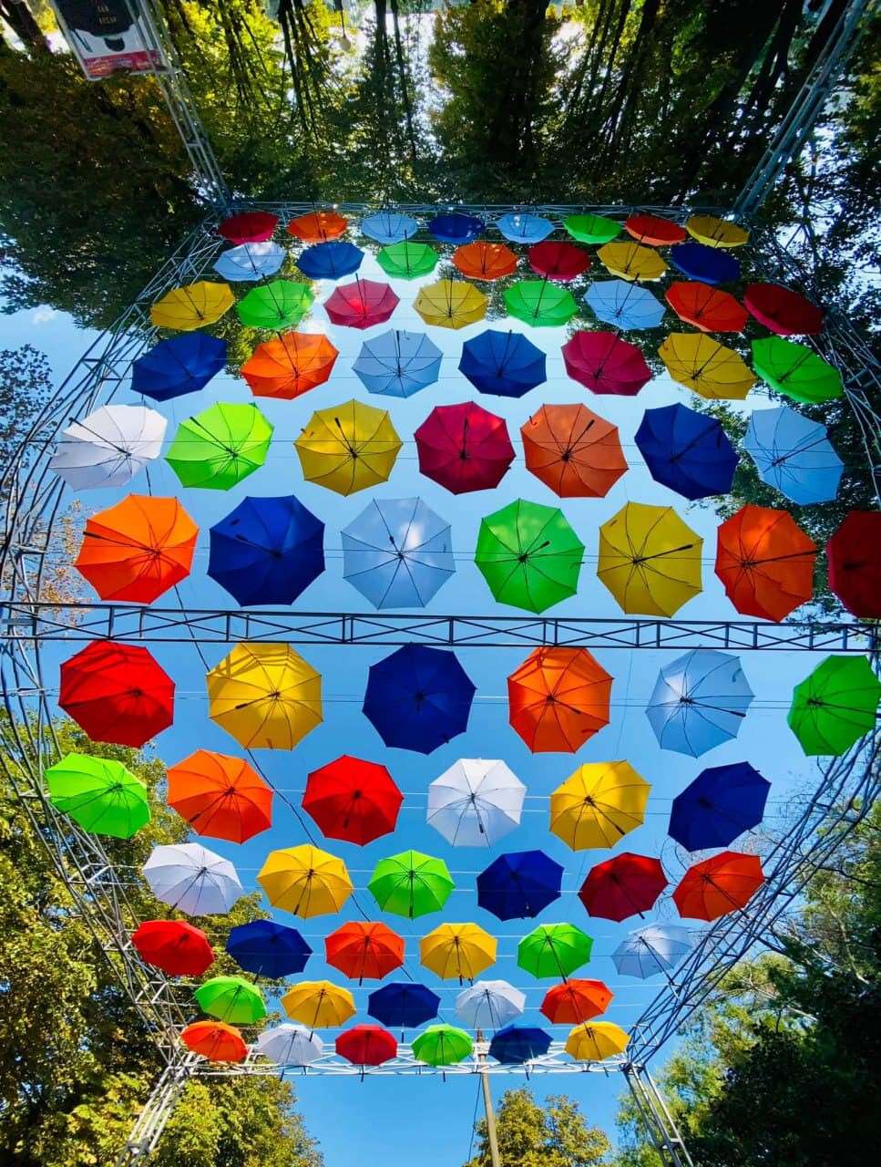 парасольки в Покрові