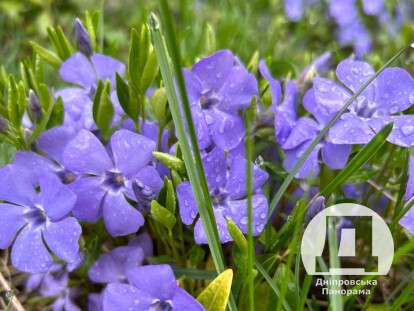 MyCollages - 2023-04-17T201739.654