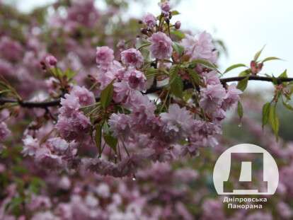 photo_5334856823884334645_y