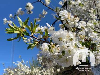 весна Дніпро