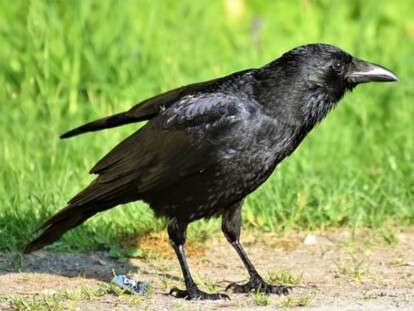 MyCollages - 2023-04-26T205510.495