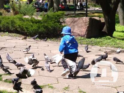 Дніпро парк