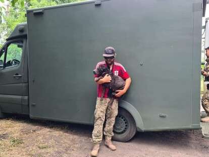 собака