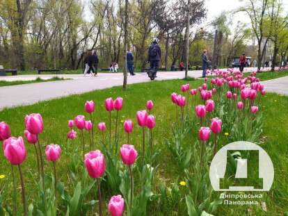 Дніпро, весна