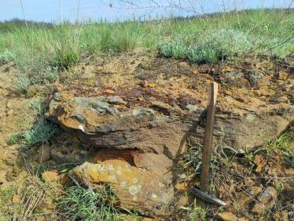 Щурівська балка