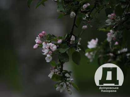 photo1683042969