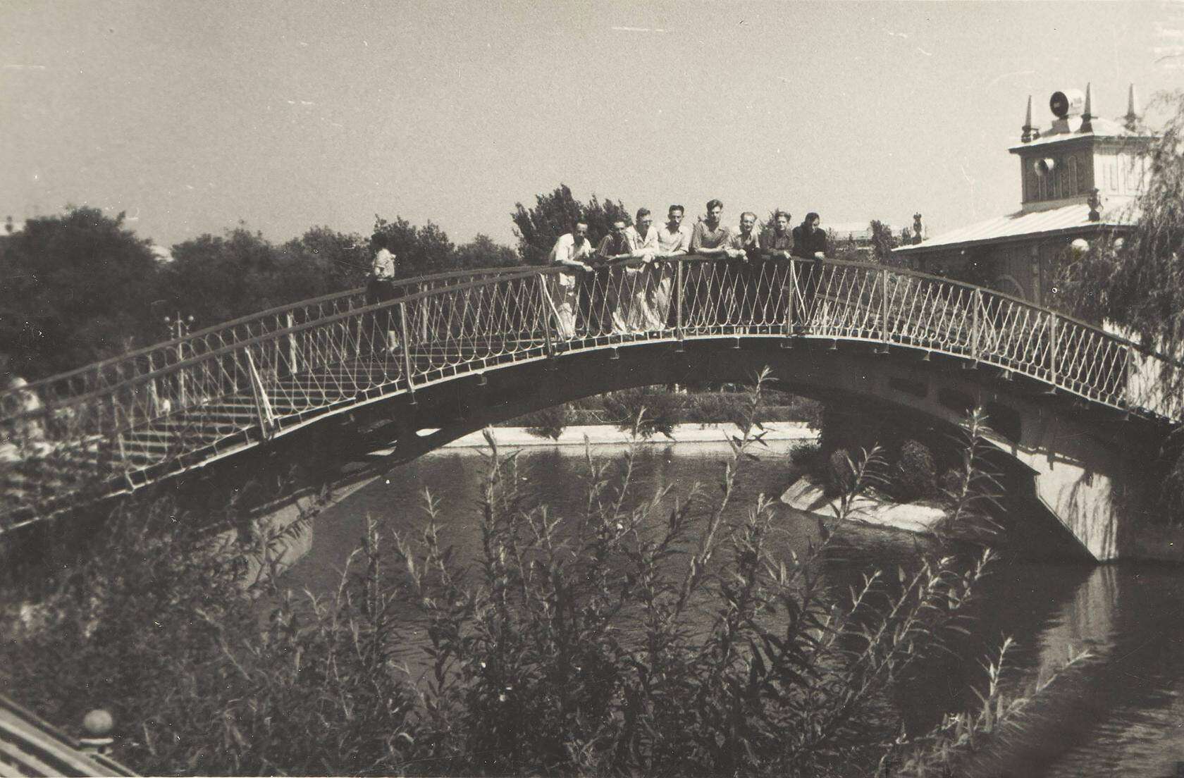 парк мост архив Арт Костюка