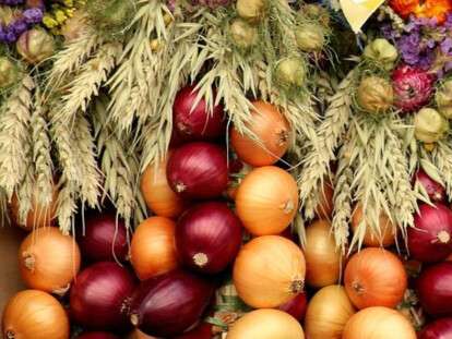 5 травня Луків день