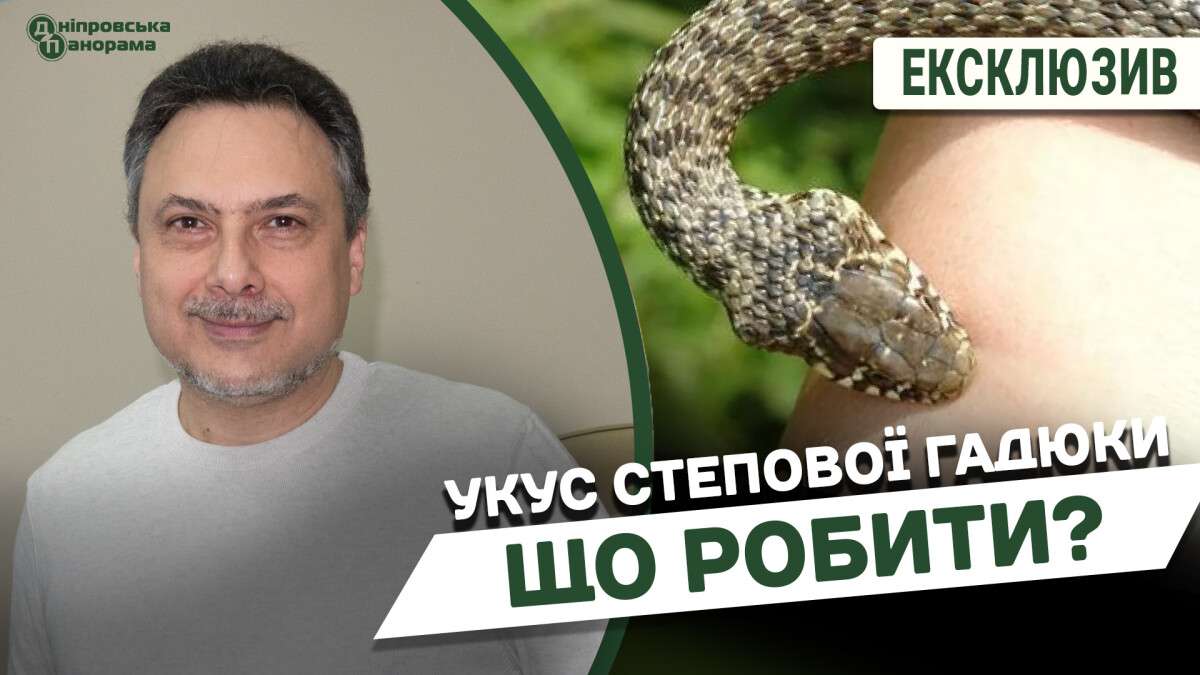 Укус степової гадюки
