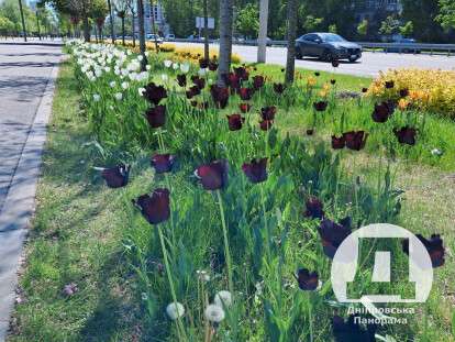 Яке сьогодні православне свято