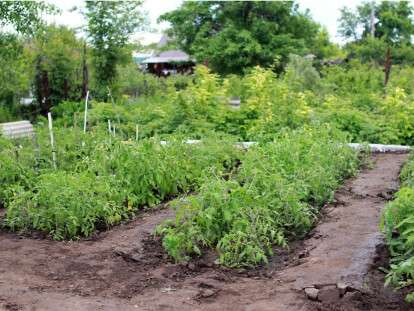 10 травня в народі називають Семен Раноорець