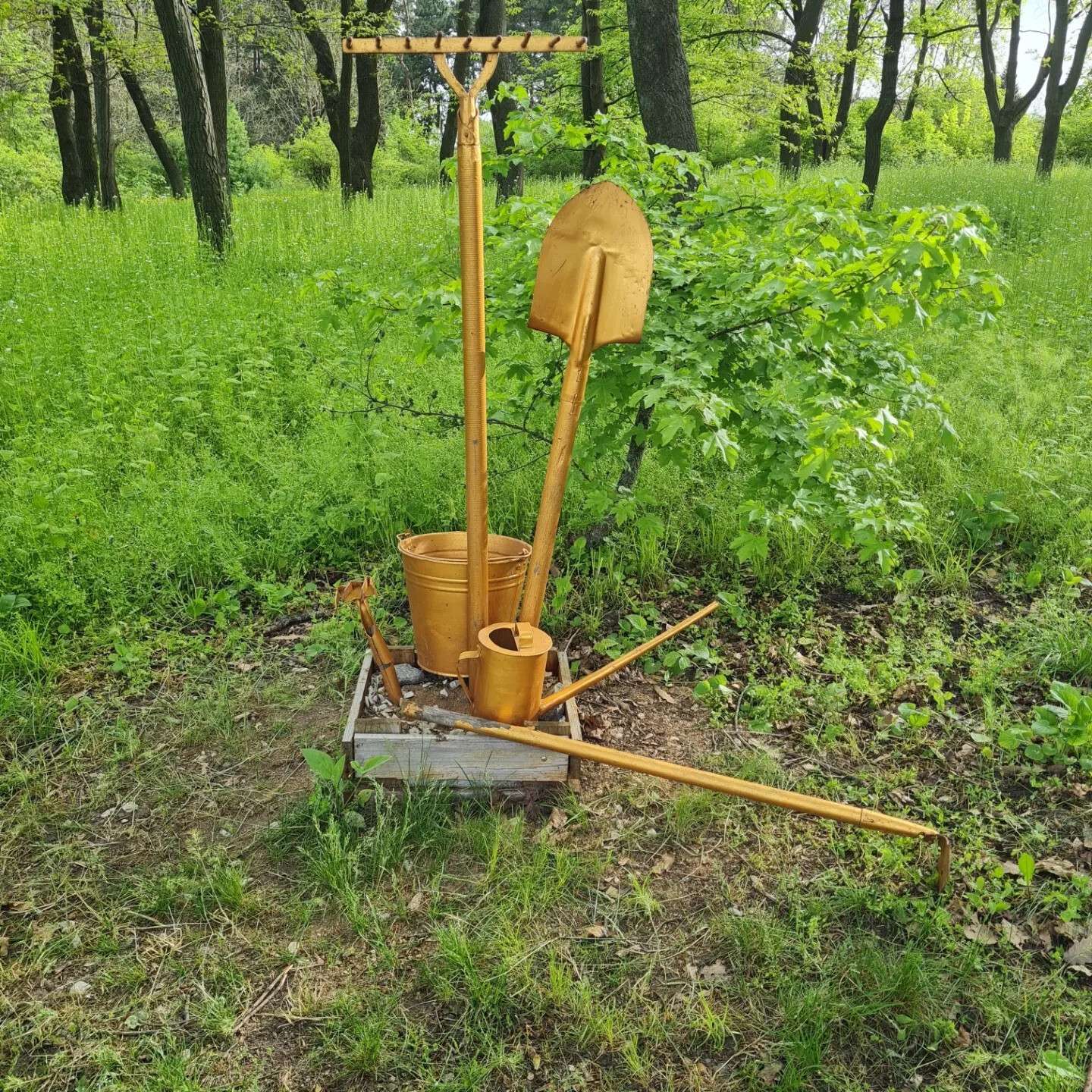 вандали розгромили ботсад у Дніпрі