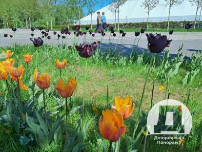 яке сьогодні свято