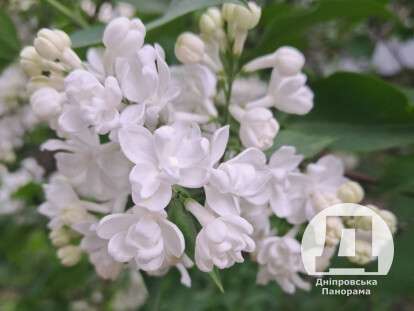 MyCollages - 2023-05-15T201813.258