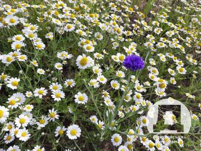 яке сьогодні свято