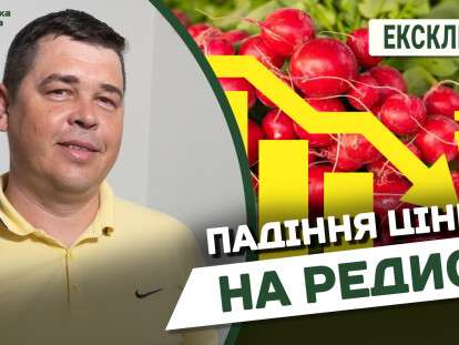 Падение цены на редис