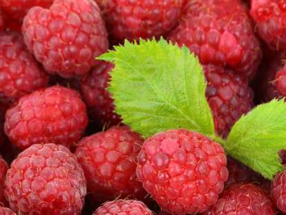 ціна на малину у травні 2023 у Дніпрі