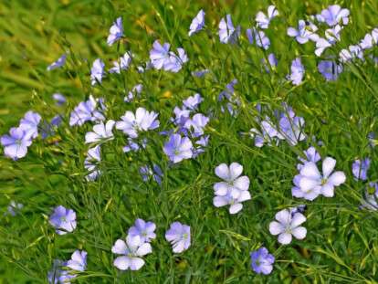 яке сьогодні свято