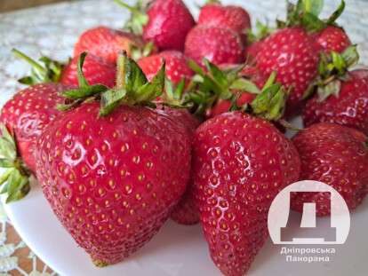 яке сьогодні свято