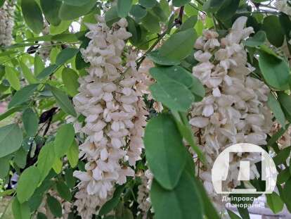 яке сьогодні свято