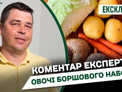 Борщовий набір