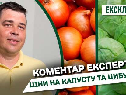 Ціни на цибулю та капусту