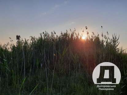 яке сьогодні свято