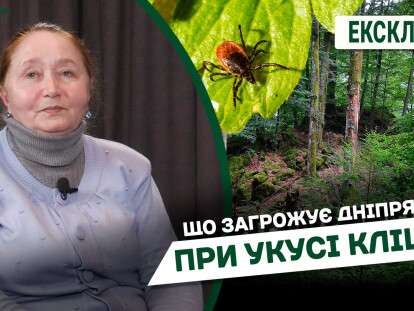 Укус кліща