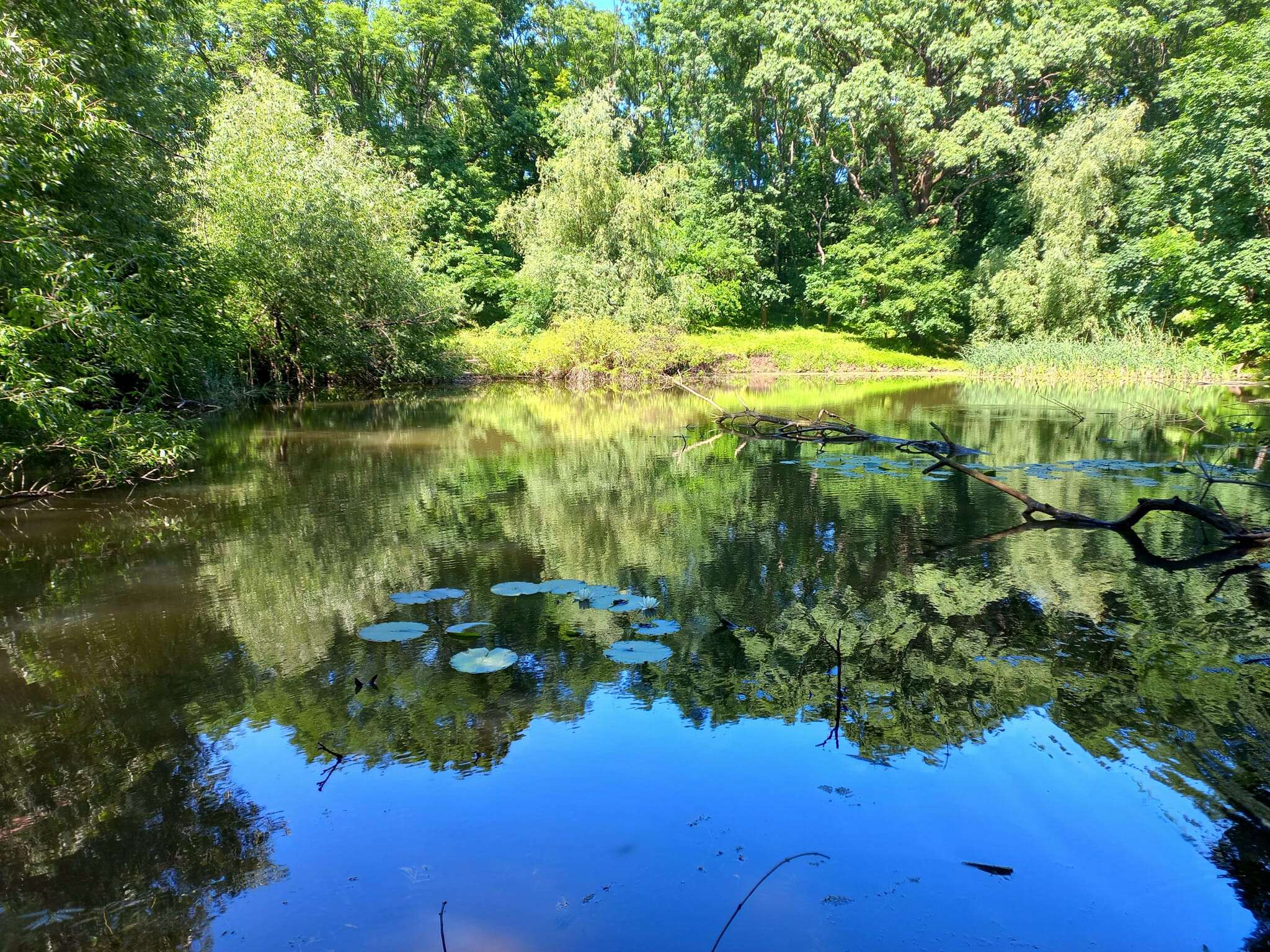 Урочище "Водяне"