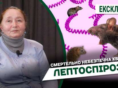 Лептоспіроз Дніпро