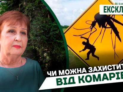 Захист від комарів