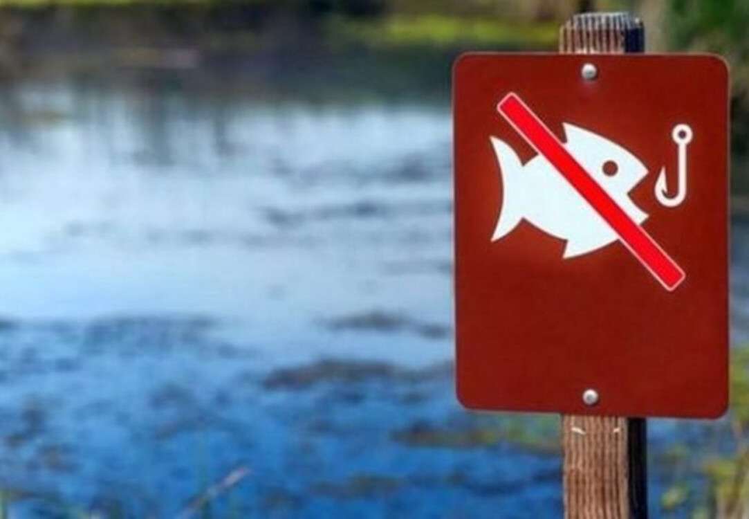 Запрет на вылов рыбы