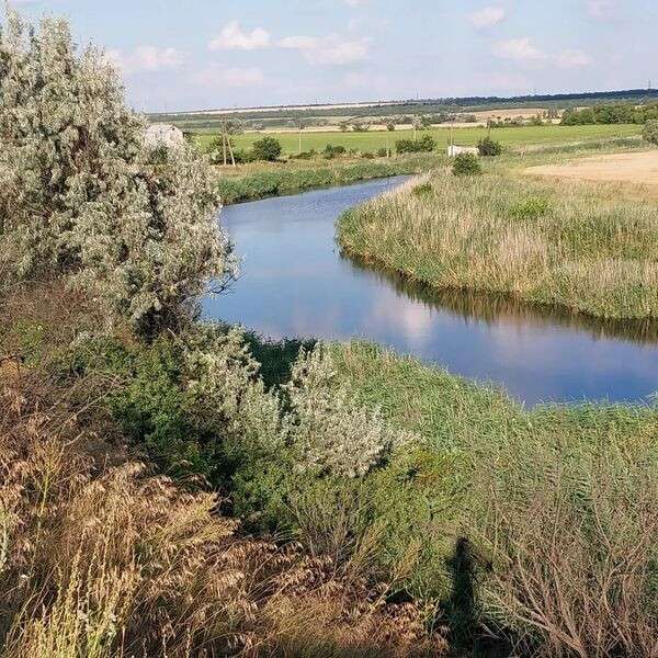 река Саксагань