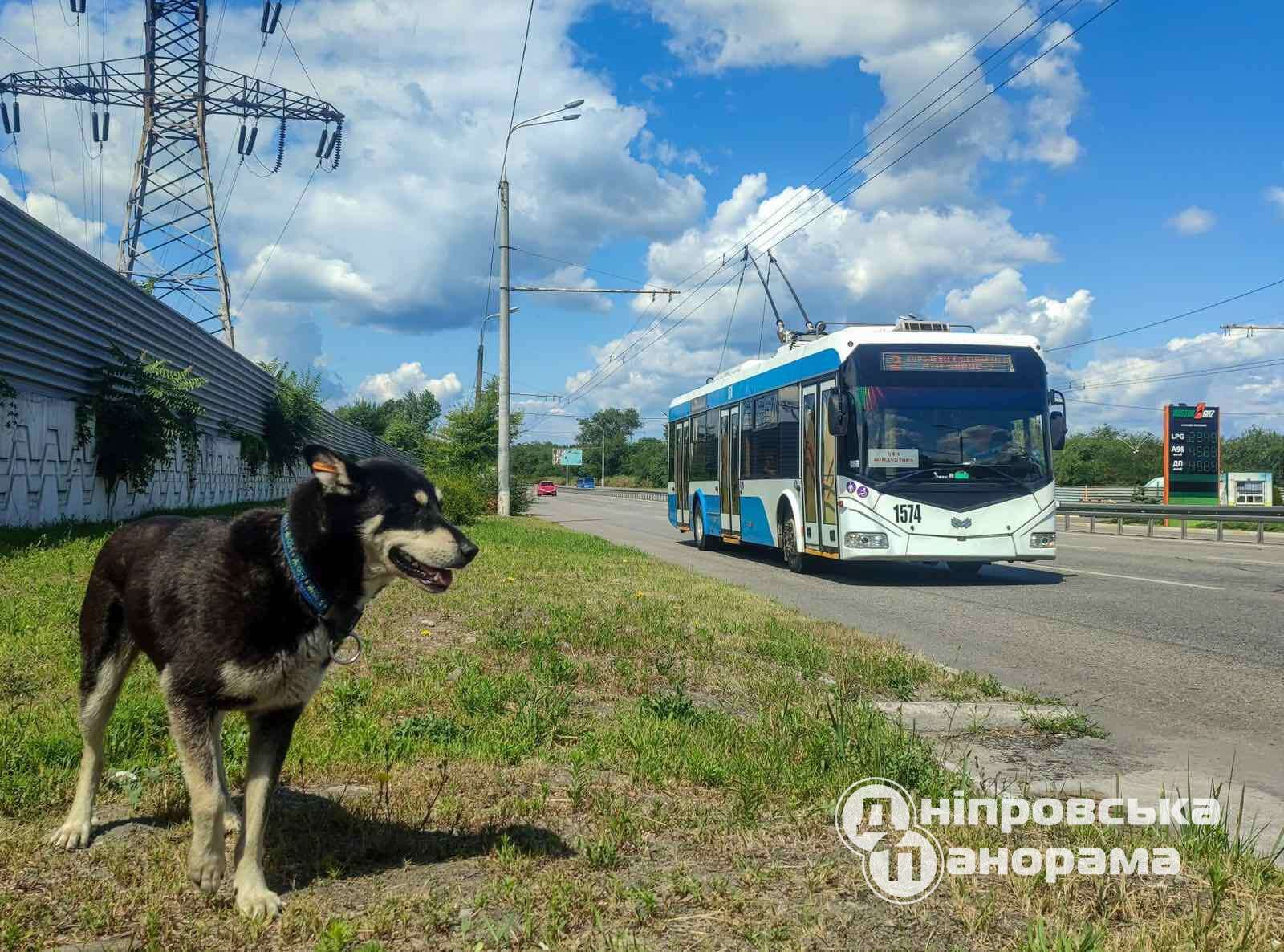 рух транспорту. як ходить транспорту у Дніпрі